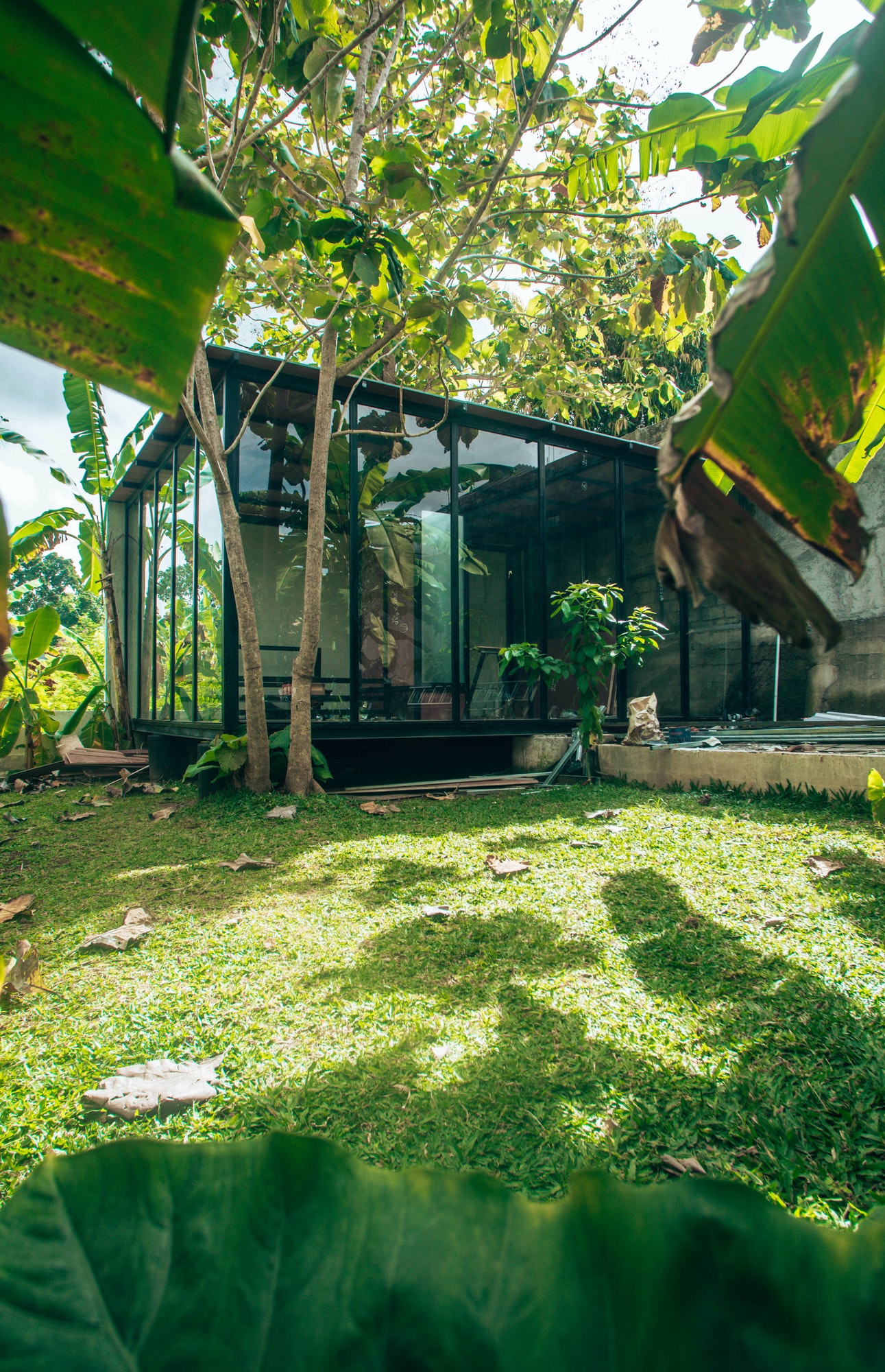 Modern glass tiny home in the jungle